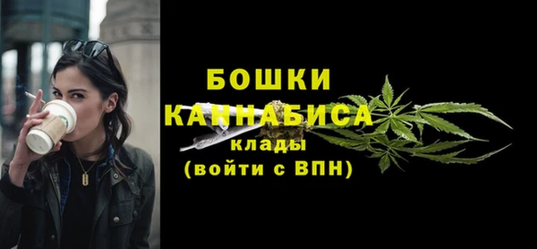 ешки Арсеньев