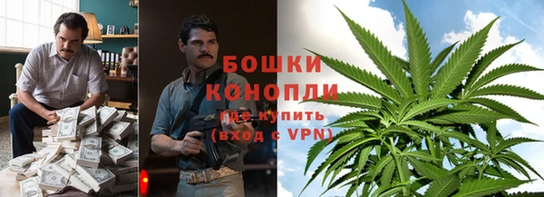 ешки Арсеньев