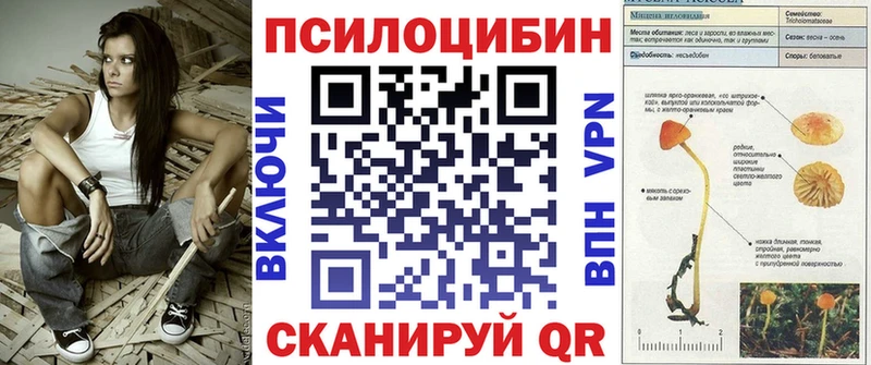 Псилоцибиновые грибы Psilocybine cubensis  Онега 